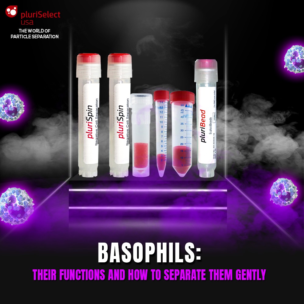 Simple, Gentle, And Effective Separation Of Basophils