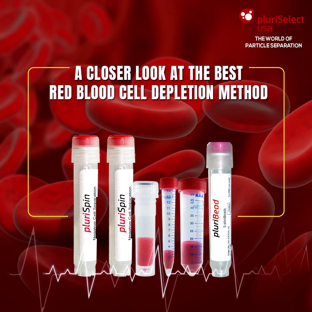 A Detailed Guide To The Best Red Blood Cell Depletion Method