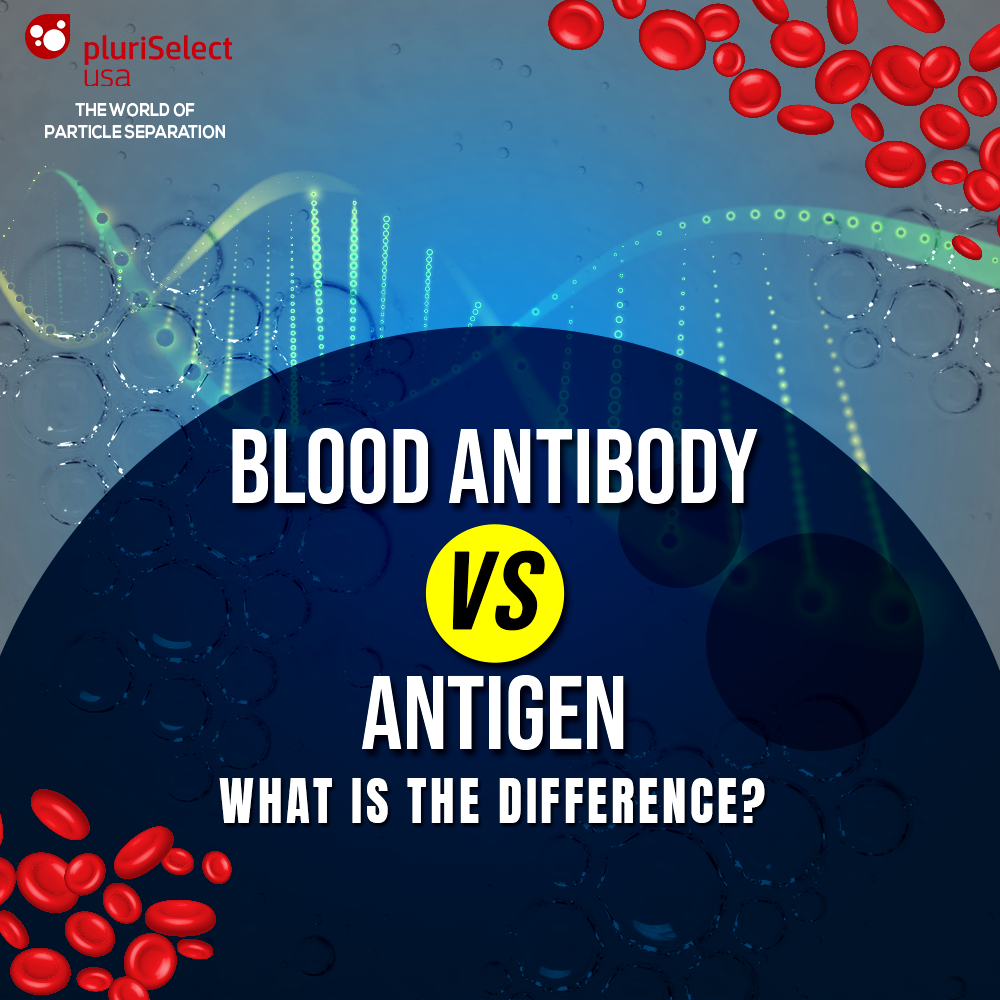 What’s the Difference Between Antigens and Antibodies?
