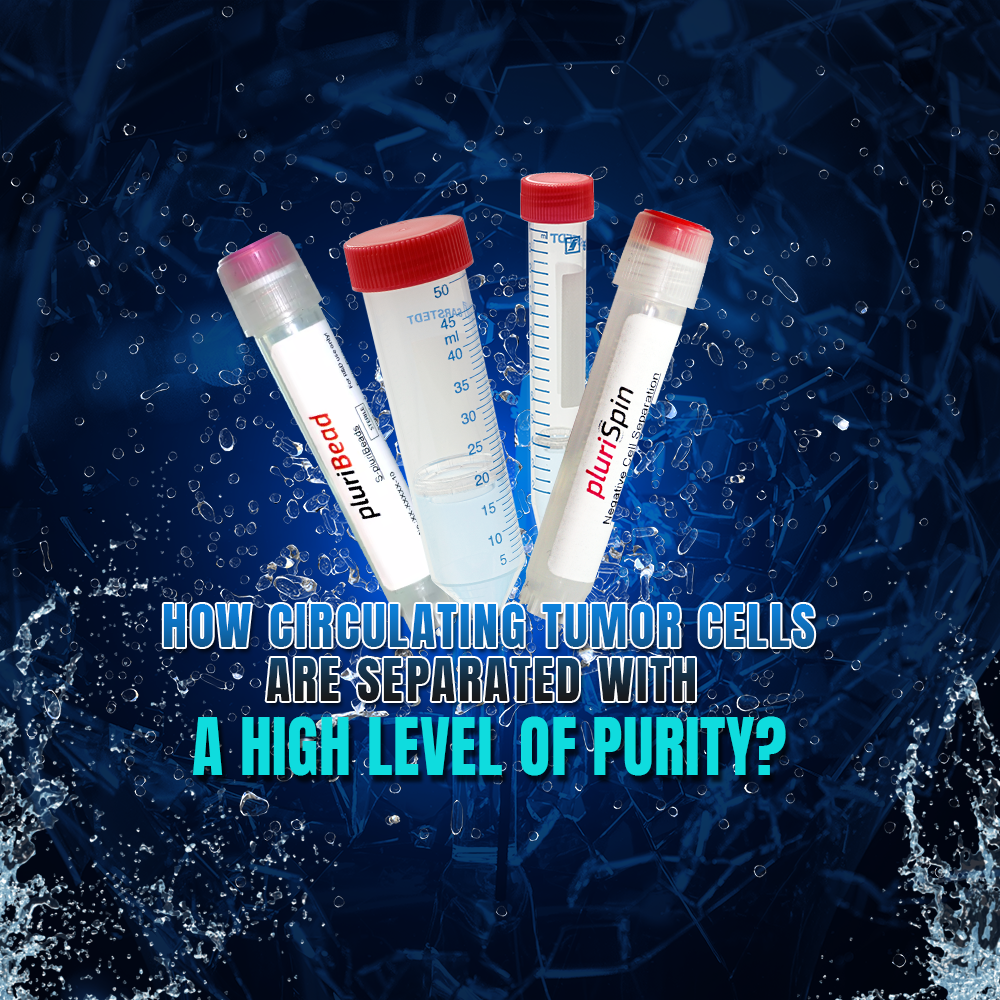 How Circulating Tumor Cells Are Separated With A High Level Of Purity?