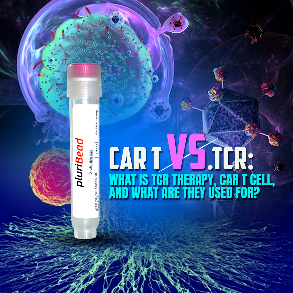 CAR T Vs.TCR: What is TCR Therapy, CAR T Cell, and What are They Used For?