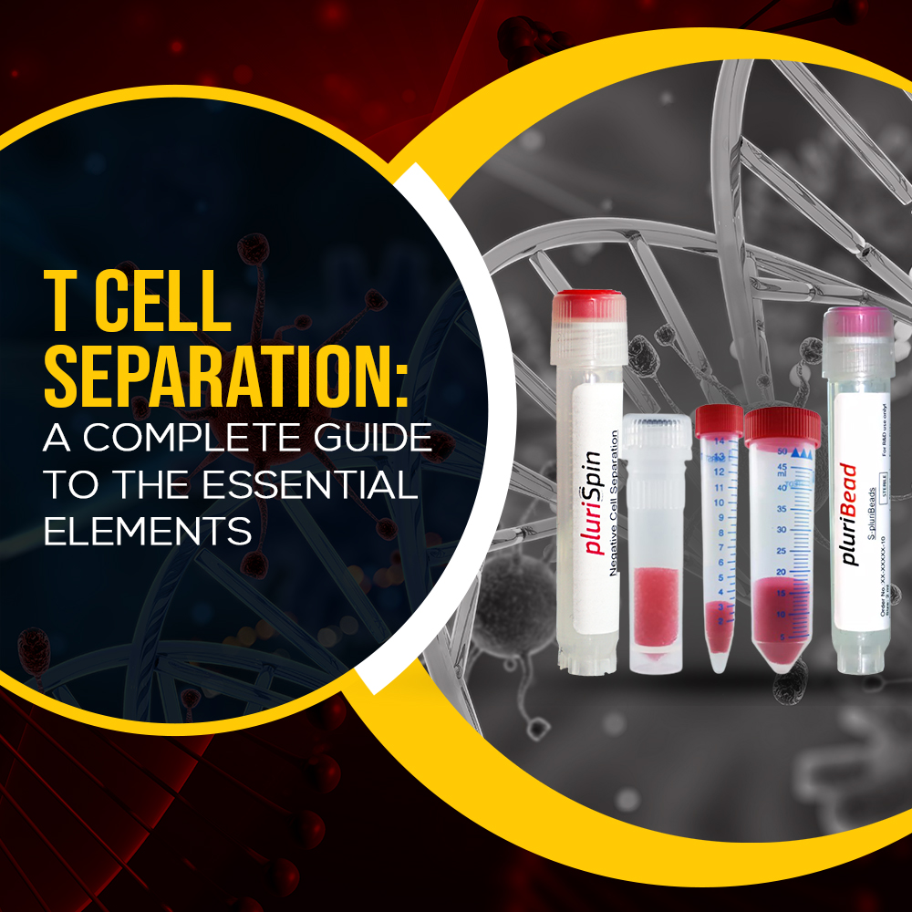T Cell Separation: A Complete Guide to the Essential Elements