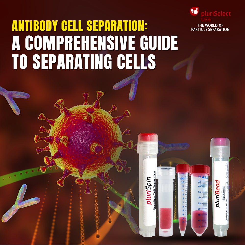 Antibody Cell Separation: A Comprehensive Guide to Separating Cells