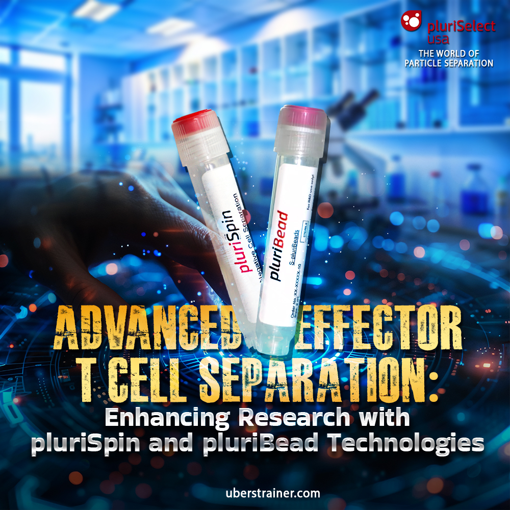 Advanced Effector T Cell Separation: Enhancing Research with pluriSpin and pluriBead Technologies