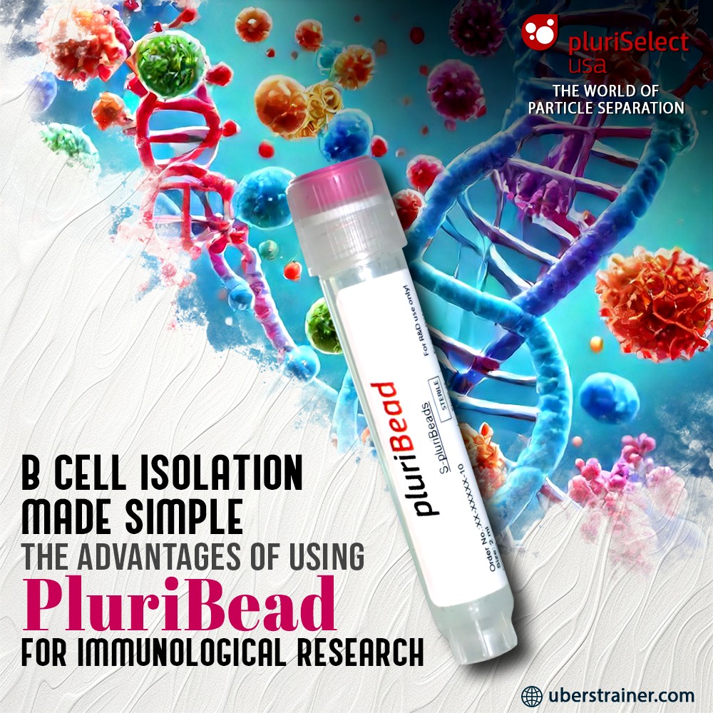 B Cell Isolation Made Simple: The Advantages of Using PluriBead for Immunological Research