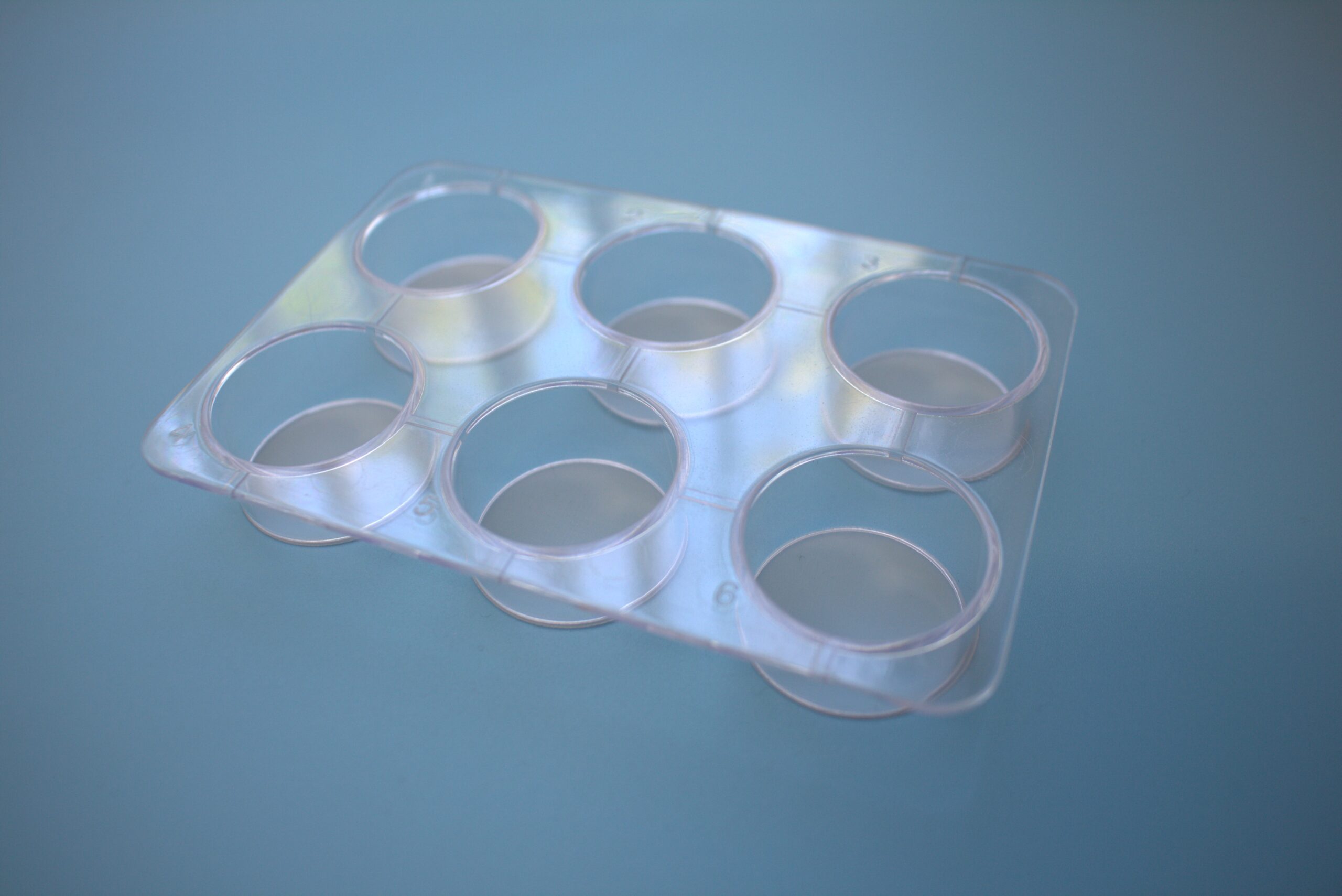 Multi-well-strainer (single packed, sterile), 1 plate. 6-wells strainer plate