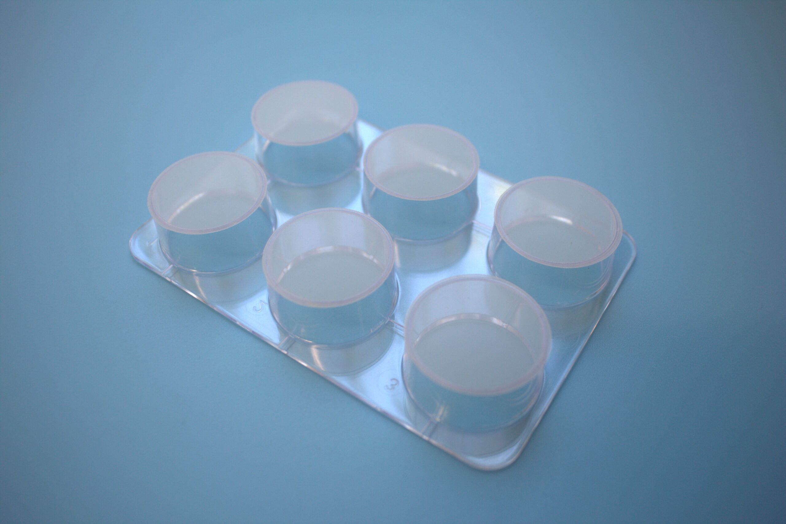 Multi-well-strainer (single packed, sterile), 1 plate. 6-wells strainer plate