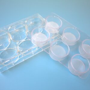 Multi Well Strainer