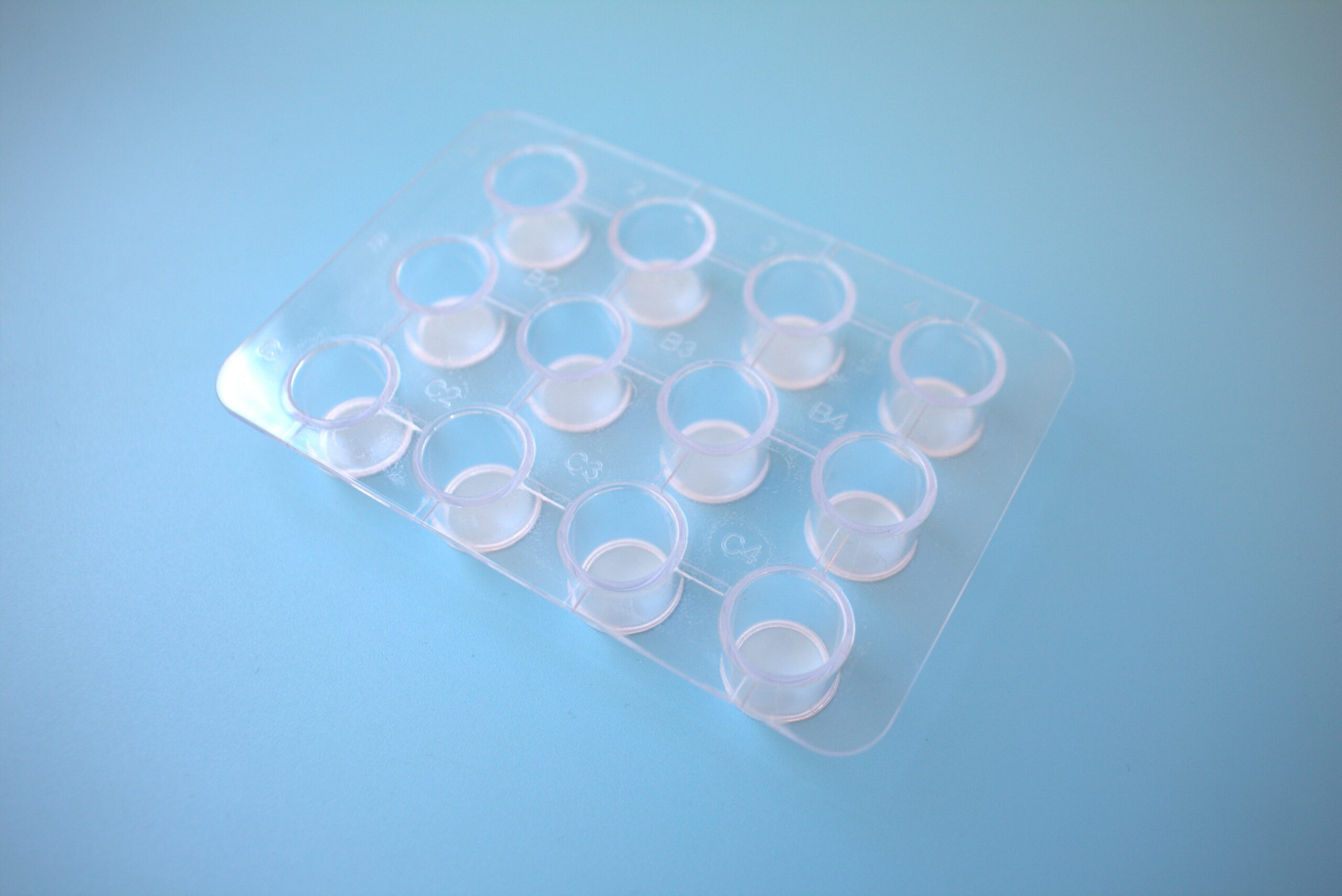 Multi-well-strainer (single packed, sterile), 1 plate. 12-wells strainer plate