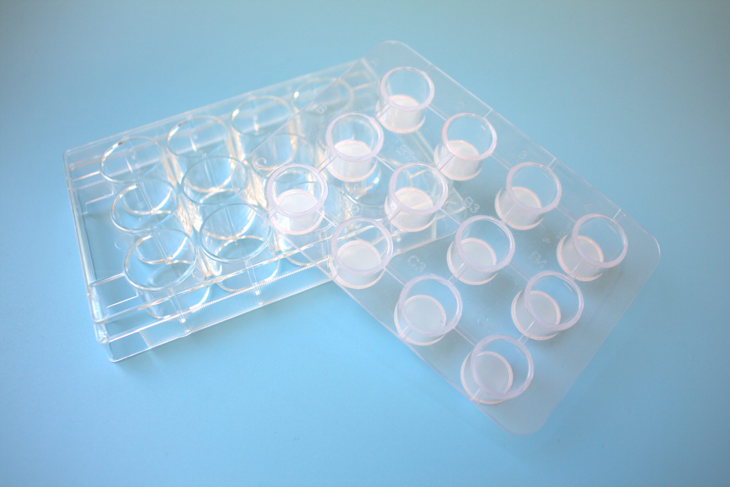 Multi-well-strainer (single packed, sterile), 1 plate. 12-wells strainer plate