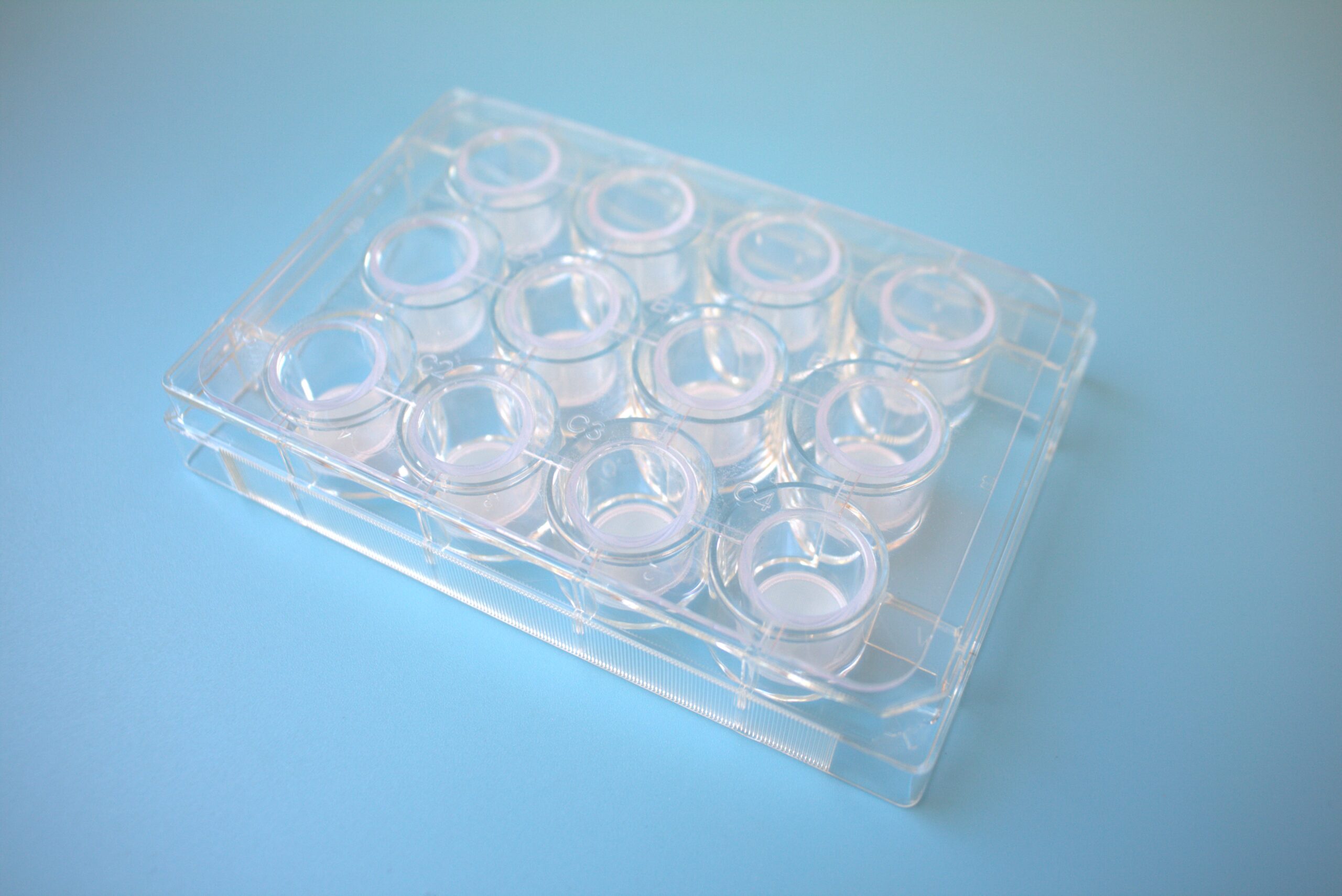 Multi-well-strainer (single packed, sterile), 1 plate. 12-wells strainer plate