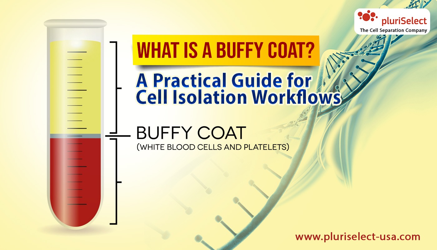 How to Prepare Buffy Coat from Whole Blood in Your Own Lab