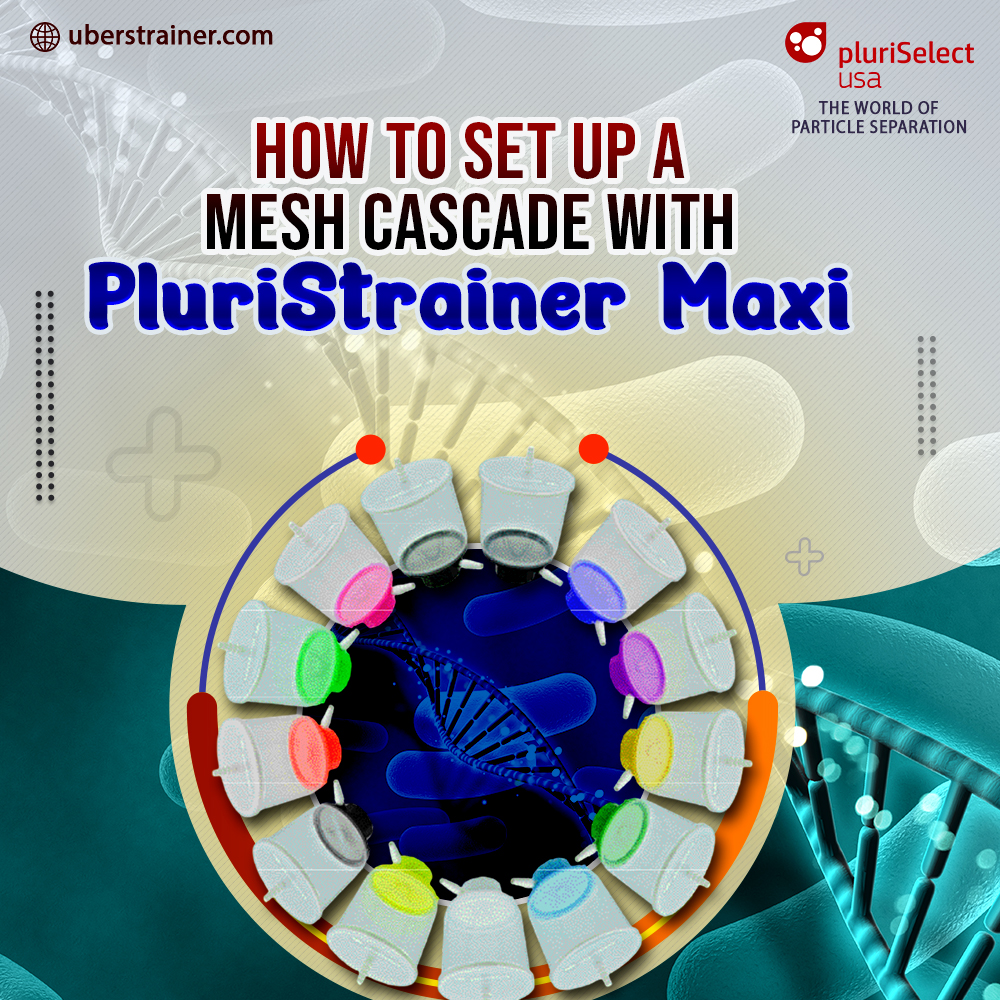 How to Set Up a Mesh Cascade with pluriStrainer Maxi (No Sample Transfers)