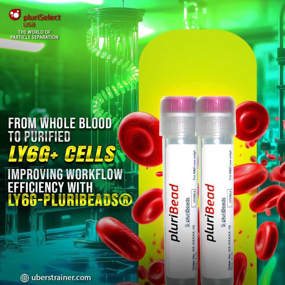 From Whole Blood to Purified Ly6G+ Cells: Improving Workflow Efficiency with Ly6G-pluriBeads®