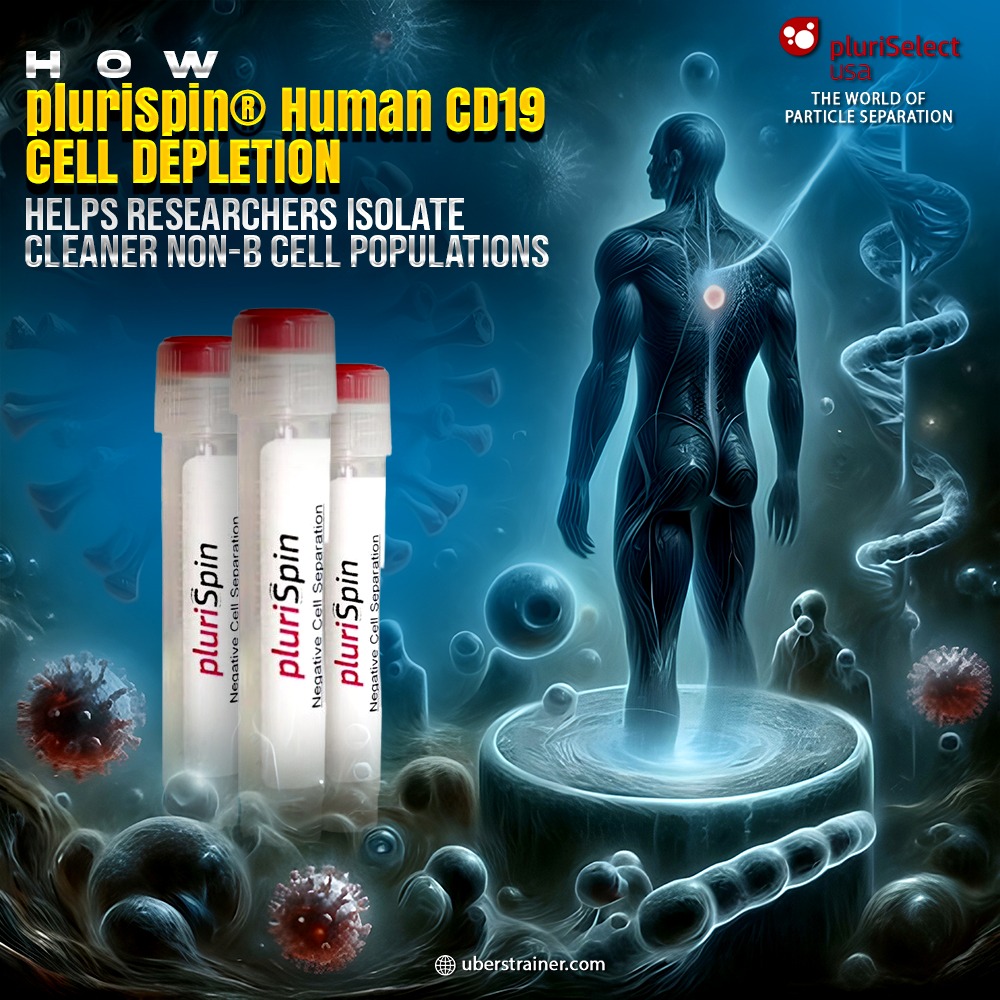 How pluriSpin® Human CD19⁺ Cell Depletion Helps Researchers Isolate Cleaner Non-B Cell Populations