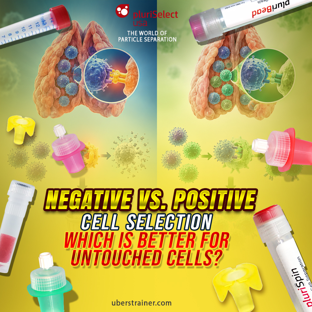 Negative vs. Positive Cell Selection: Which Is Better for Untouched Cells?...